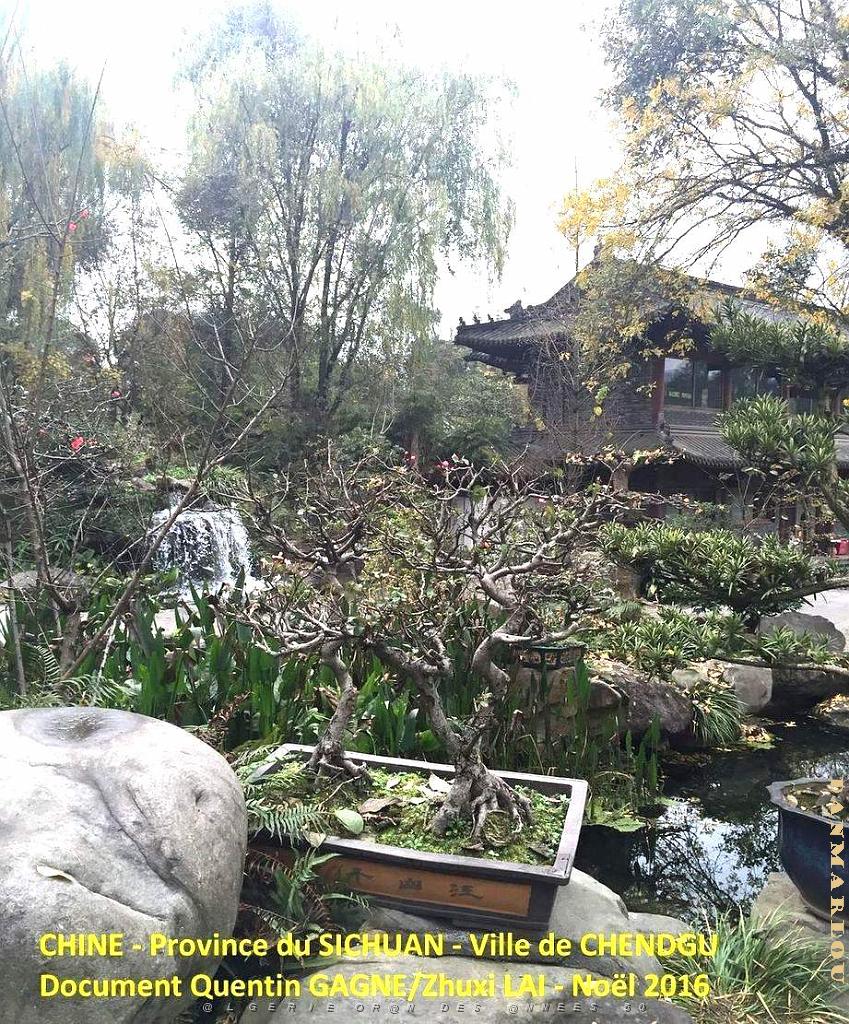 Chendgu 009.JPG